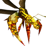 Ong